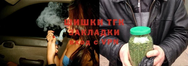 индика Нефтегорск