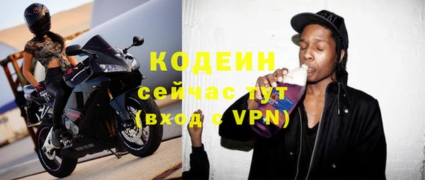 индика Нефтегорск