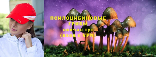 шишки Абаза