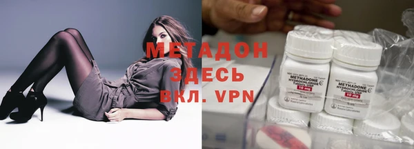 шишки Абаза