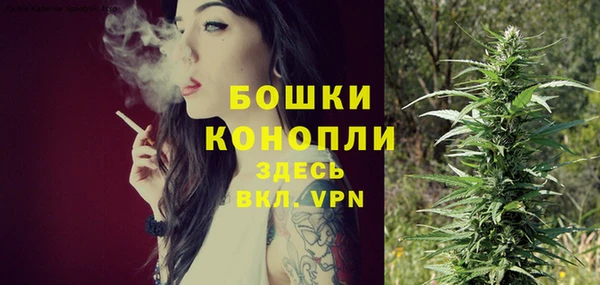 индика Нефтегорск