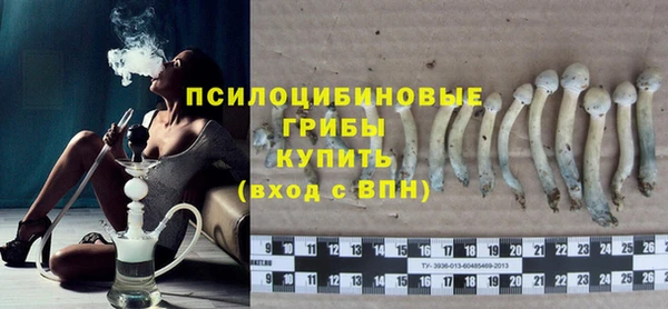 шишки Абаза