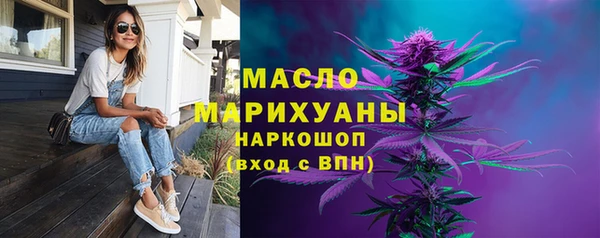 индика Нефтегорск