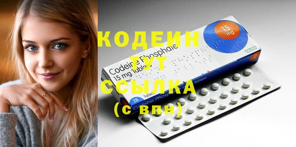 шишки Абаза