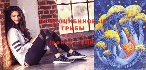 шишки Абаза