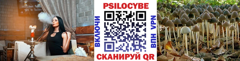 Галлюциногенные грибы Magic Shrooms  продажа наркотиков  Нахабино 